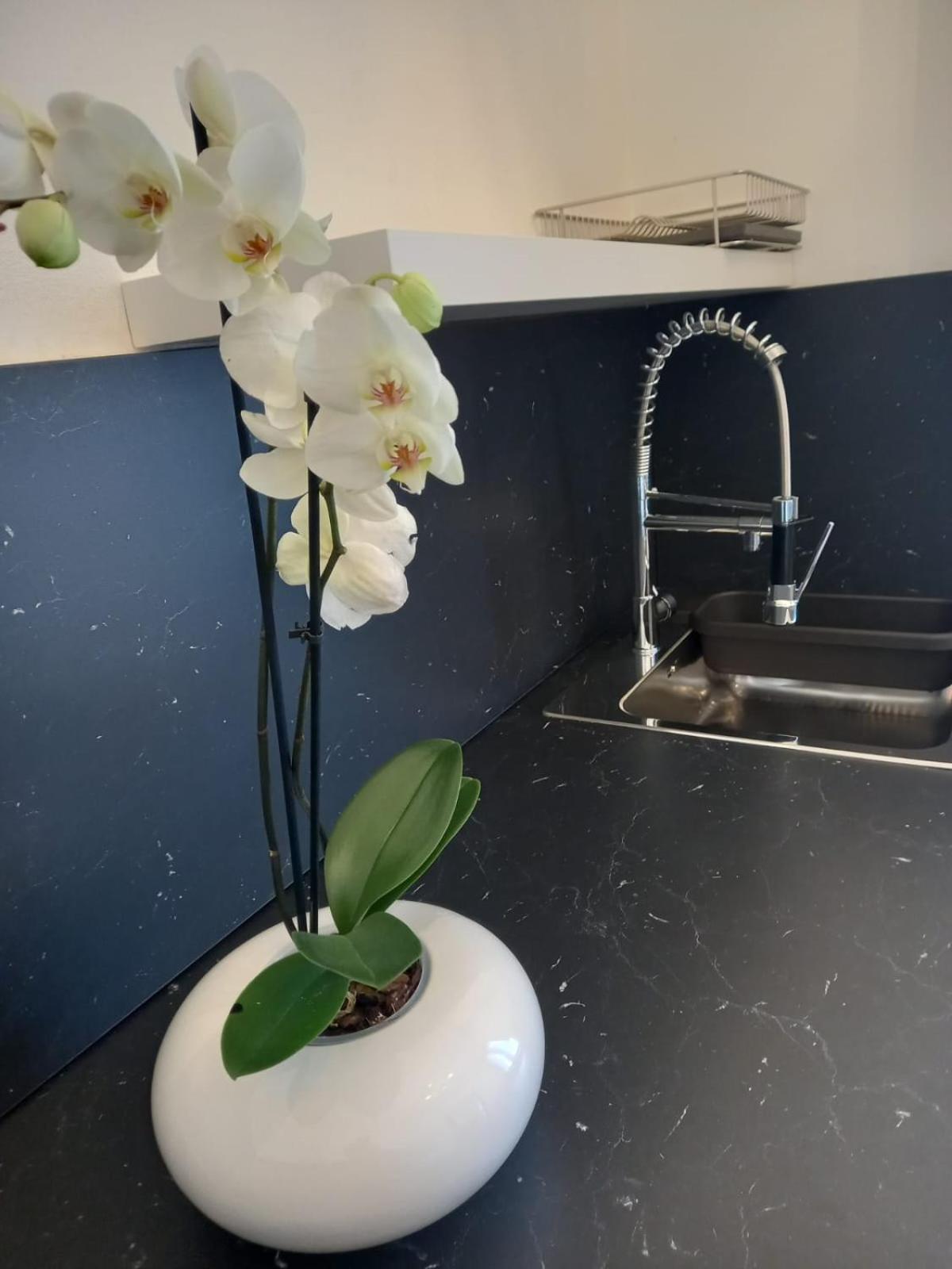Casa Porta Vescovo Verona Lägenhet Exteriör bild
